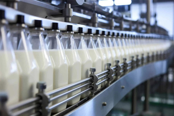 Dairy Dairy