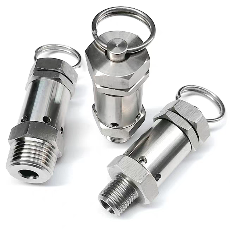 SS304 NPT/BSP Male Mini Type Pressure Relief Valve Stainless Steel Pressure Quick Releasing